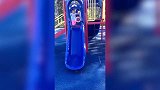宝宝玩滑梯太搞笑了，真是一个比一个厉害，快来看看吧！