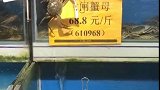 盯了这么多天，终于等到你，螃蟹的这波操作我给满分！