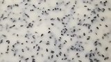 30秒搞定家人爱吃的早餐