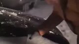车辆引擎盖结冰男子动手敲掉结果