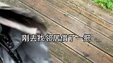 你们想看的汉南洞自闭生活