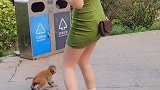 猴哥又开始打劫，把小姐姐抓住就不放