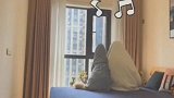 金毛：我与沙雕铲屎官的日常