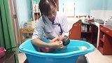 年轻护士给新生儿洗澡，她不紧张宝宝好紧张，好可爱的画面