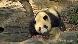 呀！泡澡真的好舒服呀！