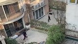 得知楼下住了个羽毛球教练，小区的邻居，整天来挑战！