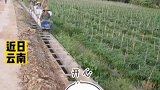 这样工作欢乐多，不但有小火车坐小火车还会拐弯