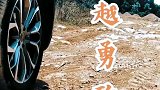 我也想低调，可是实力不允许