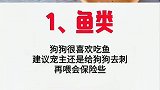 宠物医生你家狗喜欢吃什么呢