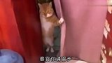 大哥你瞅着点啊，这可是限量版自行摩托车，一脚干瘪了