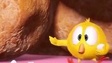 小鸡Jaki在哪儿：小鸡好像发现了一个宝藏！