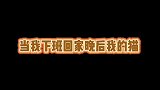 每次当我回家回晚了，我家猫都会在门口守着！等着教训我