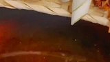 过年了自己在家做酱牛肉吧