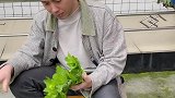 看到最后你觉得有道理没