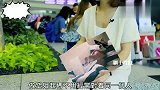 香港空姐我最怕内地人又说英文又说普通话比如