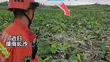 大哥采藕被困淤泥，消防员上演拔萝卜