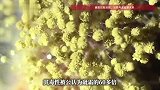 河南一家8口处理玉米后集体中毒！毒性可达砒霜60倍，是世界公认一类致癌物