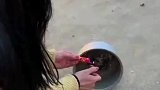 这炮放的好，搞不好全村停电，抓紧去自首吧！