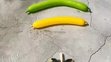 科学的力量太强大了