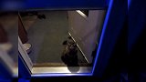 黑猫坐在地毯上，紧盯着主人，真是惊奇！