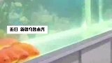 金鱼排成一排看电视，结果电视一关就全散了