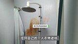 猪场饲养员洗澡后穿内裤罚款200？男子应聘后怒辞工作还曝光！猪场回应