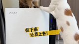 我平时我打扫的猫毛并没有面面俱到啊