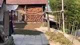 来自乡村的时装秀，外国女婿在村里变装走秀