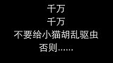 千万不要胡乱给幼猫驱虫，后果很严重