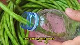 空瓶子腌酸豆角,这是我用过最简单的方法,酸的正宗,还不坏