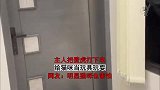 主人把壁虎打下来，给猫咪当玩具玩耍，明显猫咪也害怕