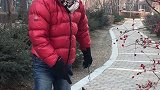 二哈：来来来，雪橇给你拉