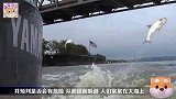 好像不对劲，主人！快点跟上我出去