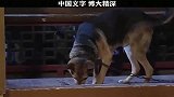 文化人过招，招招致命，没点文化，我都不配去赴宴