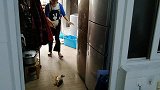 慧慧做酸菜鱼啦，鱼片嫩滑，鱼排酥香，酸菜下饭，鱼汤还能泡饭吃
