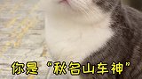 两兄妹漂移起来一个比一个狠！！！萌宠高阶技能挑战 萌宠出道计划