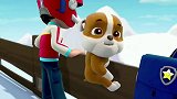 汪汪队立大功：小砾看到滑雪板，他好开心啊，他的梦想就是滑雪