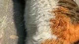 猫：别打扰我，我在晒太阳呢！