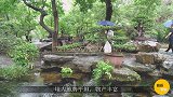 我国新一线城市榜首，领跑其他新一线城市，有望比肩北上广深
