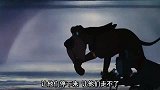 狗狗已经失去了嗅觉，却还要靠气味追踪，朋友看不下去了