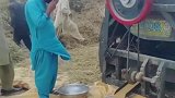 朋友在巴基斯坦，都是这样收麦子的，真像年代的中国