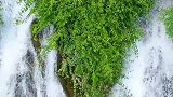 自驾中国第102天，喜欢绿色那就来荔波吧，青山绿水绿到你怀疑