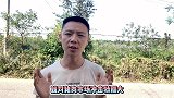 猪肉还会继续降价吗？接下来猪肉会形成怎样的趋势？