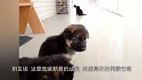 到朋友家做客，看见他正摇着摇篮逗宝宝，走近一看笑的直不起腰