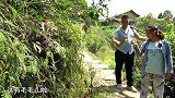 桃子姐和包立春去山里挖笋子，三娘做一大桌好菜招待，真美味