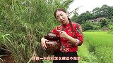 小雨教你做四川泡菜，泡出来的酸菜又酸又脆，想想就流口水