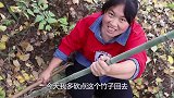 该贴秋膘了，胖妹做“手把羊肉”，汤鲜味美，直接上手抓着吃