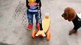 萌娃学玩滑板车，狗子这个都不会，我来教你怎么玩