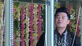 奔跑吧兄弟：陈赫见自己的女嘉宾后，反应极其嫌弃，全场爆笑不止
