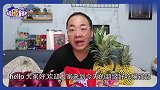 【超级好吃编辑部】水果洋葱、手撕菠萝，又被骗了？